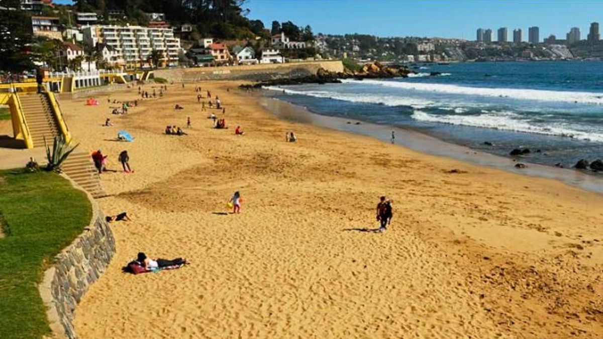 Clausuraron una conocida playa de Chile por la aparición de una medusa que genera toxinas