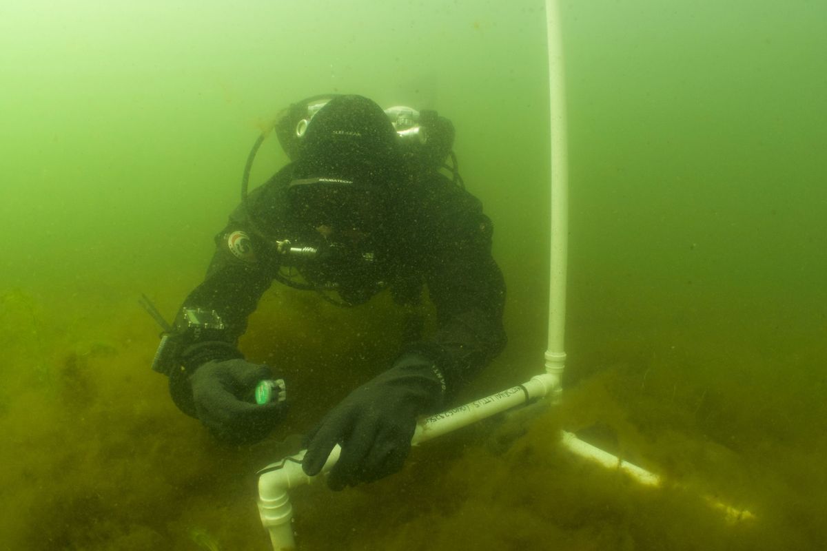 El histórico descubrimiento en lo más profundo del mar que impactó a los científicos El histórico descubrimiento en lo más profundo del mar que impactó a los científicos