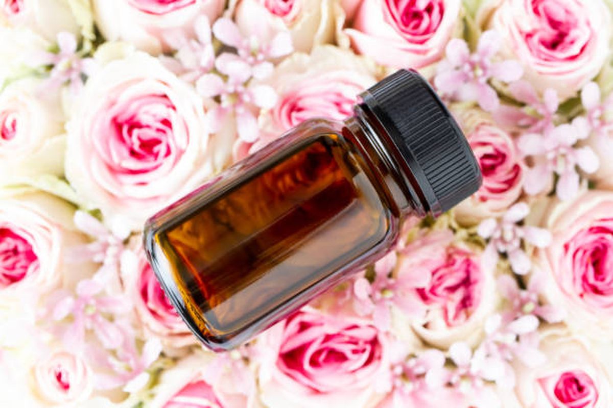 Quita las arrugas de tu rostro gracias al aceite de rosa mosqueta. Quita las arrugas de tu rostro gracias al aceite de rosa mosqueta.