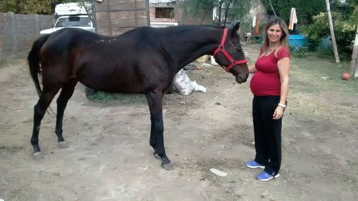 Creer o reventar: la historia de la mujer que no podía tener hijos y tras salvar a un caballo logró embarazarse