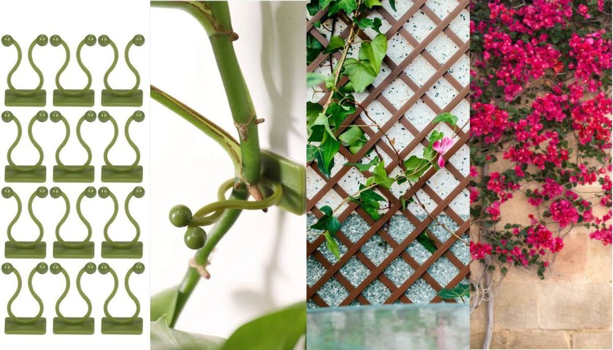 Puedes utilizar soportes autoadhesivos para plantas trepadoras o celosías. Imagen: composición Diario Uno. Puedes utilizar soportes autoadhesivos para plantas trepadoras o celosías. Imagen: composición Diario Uno.