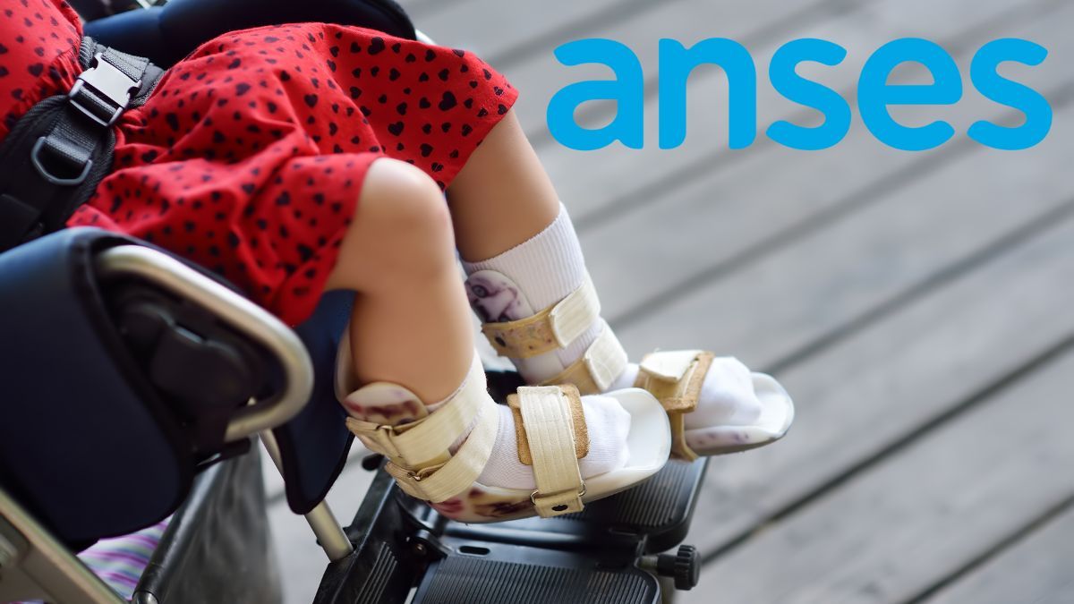 Discapacidad ANSES. Discapacidad ANSES.