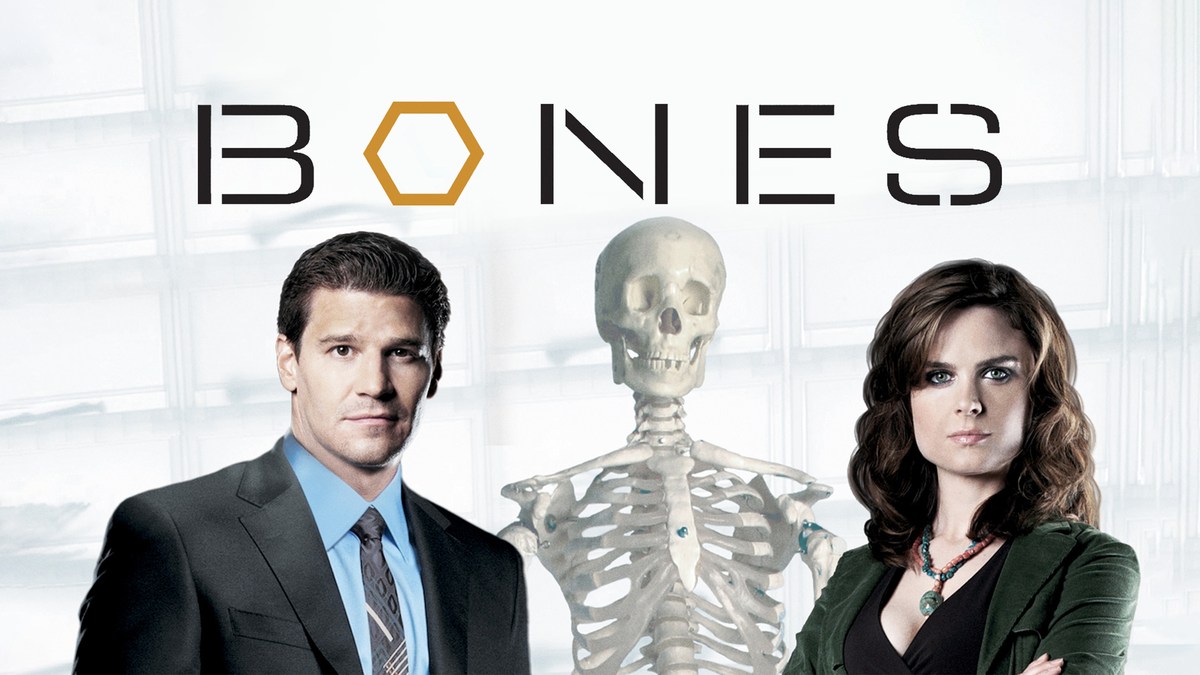 'Bones‘, comenzó a emitirse en el año 2005 y llegó a su fin en 2017 con un total de 246 episodios. 'Bones‘, comenzó a emitirse en el año 2005 y llegó a su fin en 2017 con un total de 246 episodios.