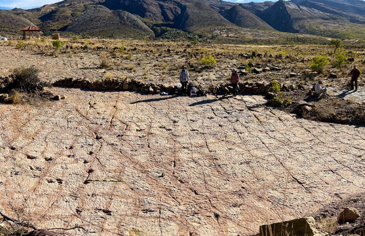 Paleontólogos no pueden creer el enorme descubrimiento realizado en Bolivia: miles de huellas de dinosaurios