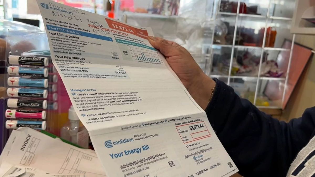 Nueva York entrega una ayuda para pagar facturas de electricidad: c&oacute;mo acceder