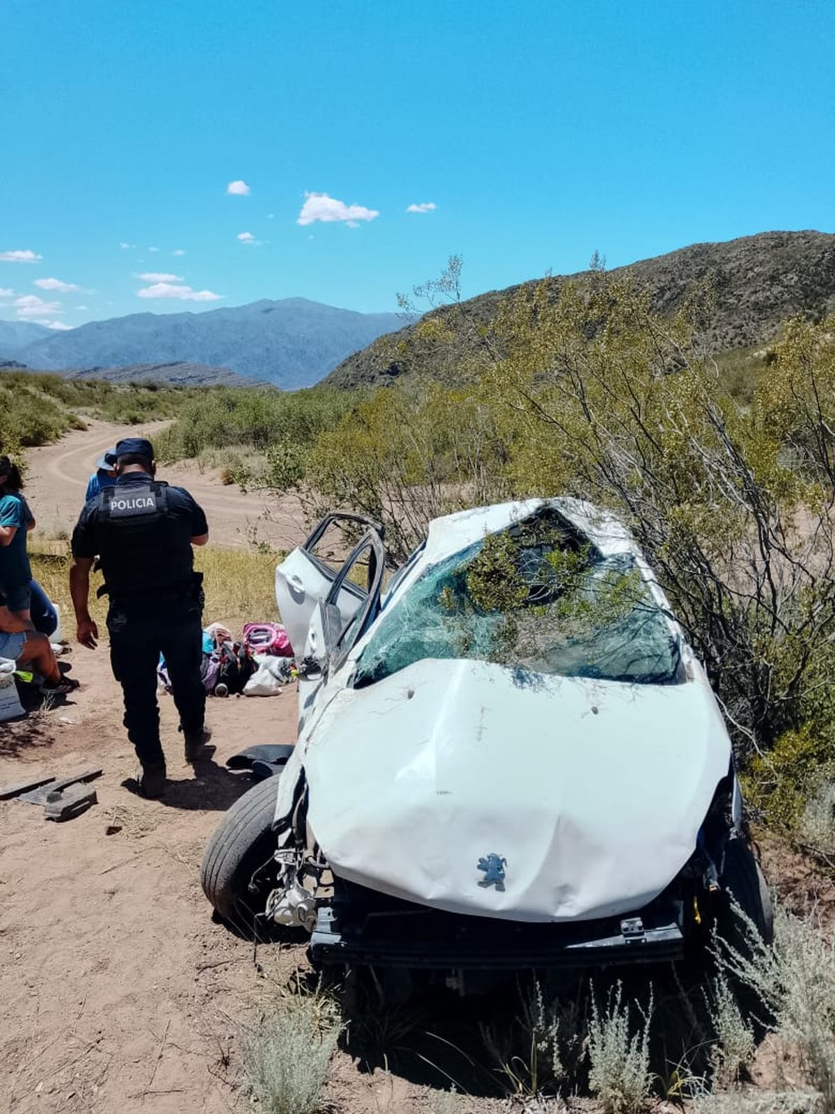 El auto cay&oacute; 20 metros y s&oacute;lo hubo heridos leves.