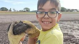 Una familia salvó de morir a más de 70 tortugas de una laguna que se secó en Corrientes