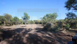 Confirman multa a una empresa que desmontó un bosque nativo