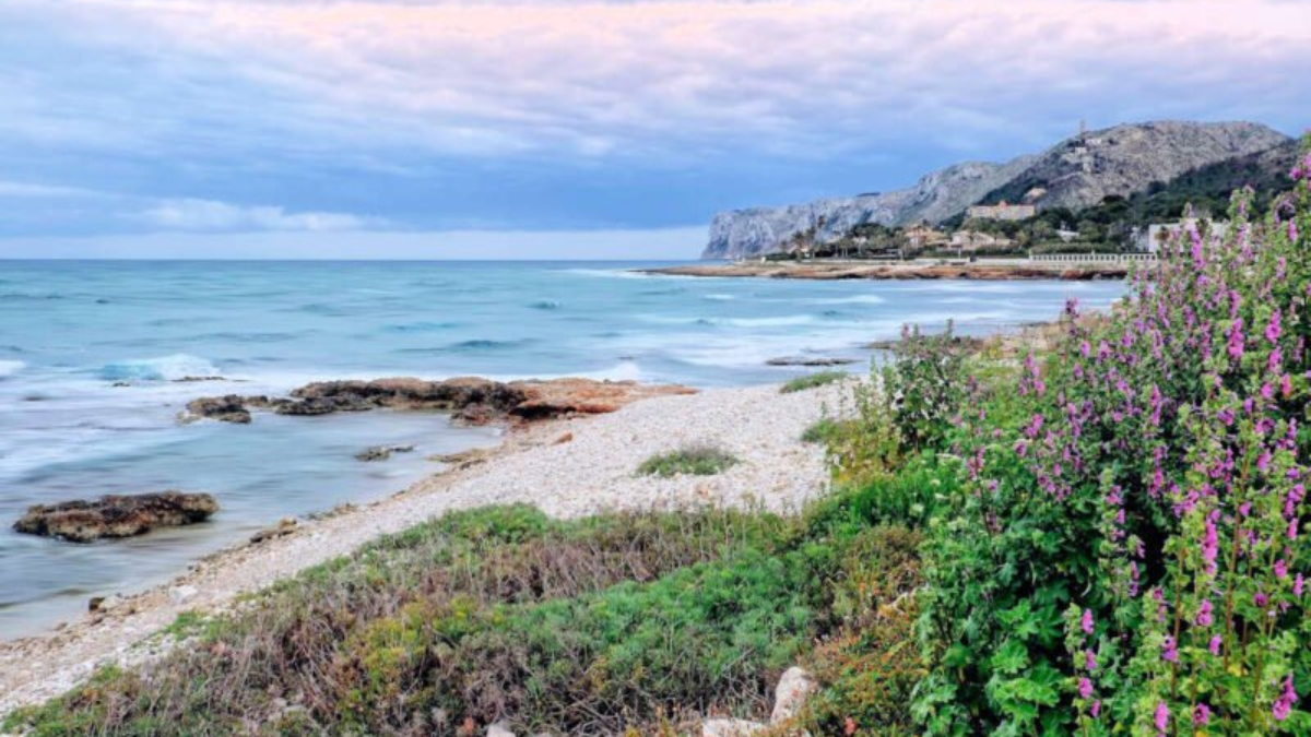 Dénia no solo es un paraíso visual para quienes lo visiten y aprecien de cada rincón de este pueblo, sino que además cuenta con un pasado fascinante que se remonta a la época romana. Dénia no solo es un paraíso visual para quienes lo visiten y aprecien de cada rincón de este pueblo, sino que además cuenta con un pasado fascinante que se remonta a la época romana.
