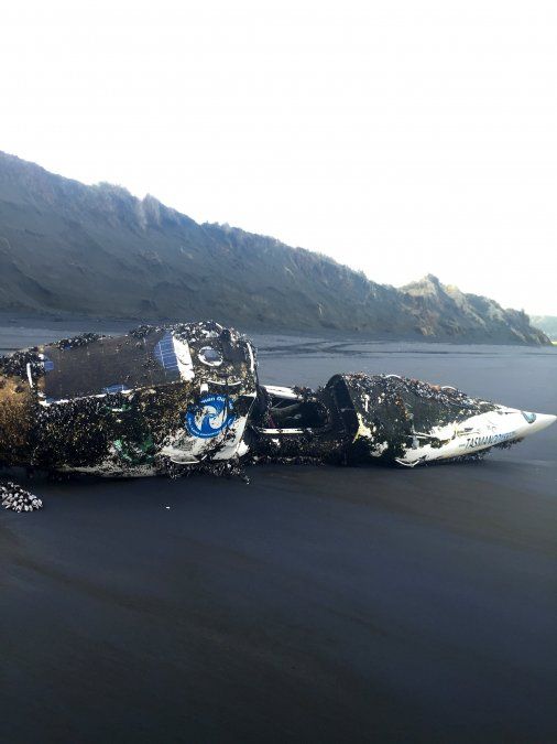 Un kayak viajó solo de Australia a Nueva Zelanda