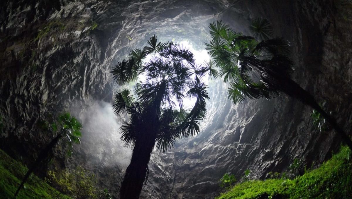 El hallazgo sin precedentes en China que abre las puertas hacia lo desconocido