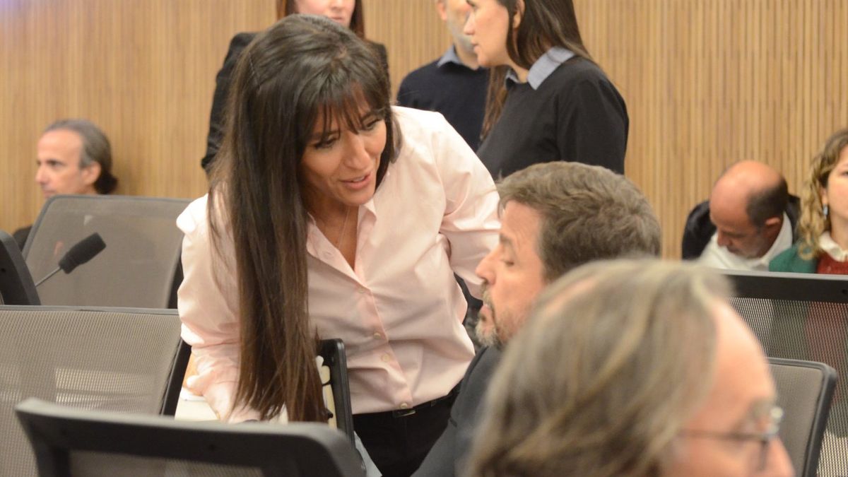 La diputada radical mendocina Pamela Verasay. La diputada radical mendocina Pamela Verasay.