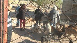 De los 75 perros de Carmencita