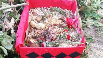 Hicieron un ritual umbanda y fueron atacados a ladrillazos
