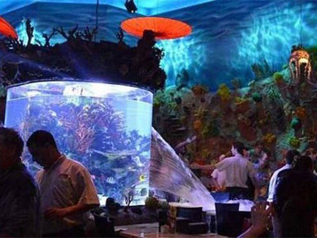 Video: un acuario gigante colapsó y causó caos en un local