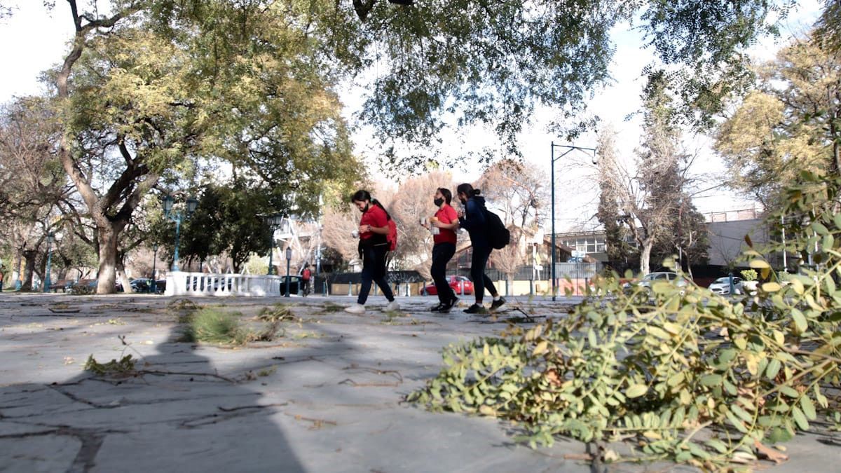 Alerta amarillo: tormenta de Santa Rosa, Zonda y nevadas