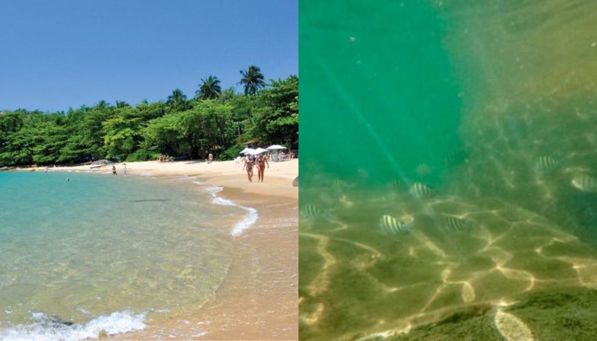 Este destino tiene aguas tranquilas para nadar. Este destino tiene aguas tranquilas para nadar.