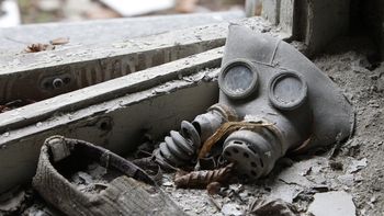 Los científicos no pueden creer el descubrimiento realizado en el centro de Chernobyl Los científicos no pueden creer el descubrimiento realizado en el centro de Chernobyl