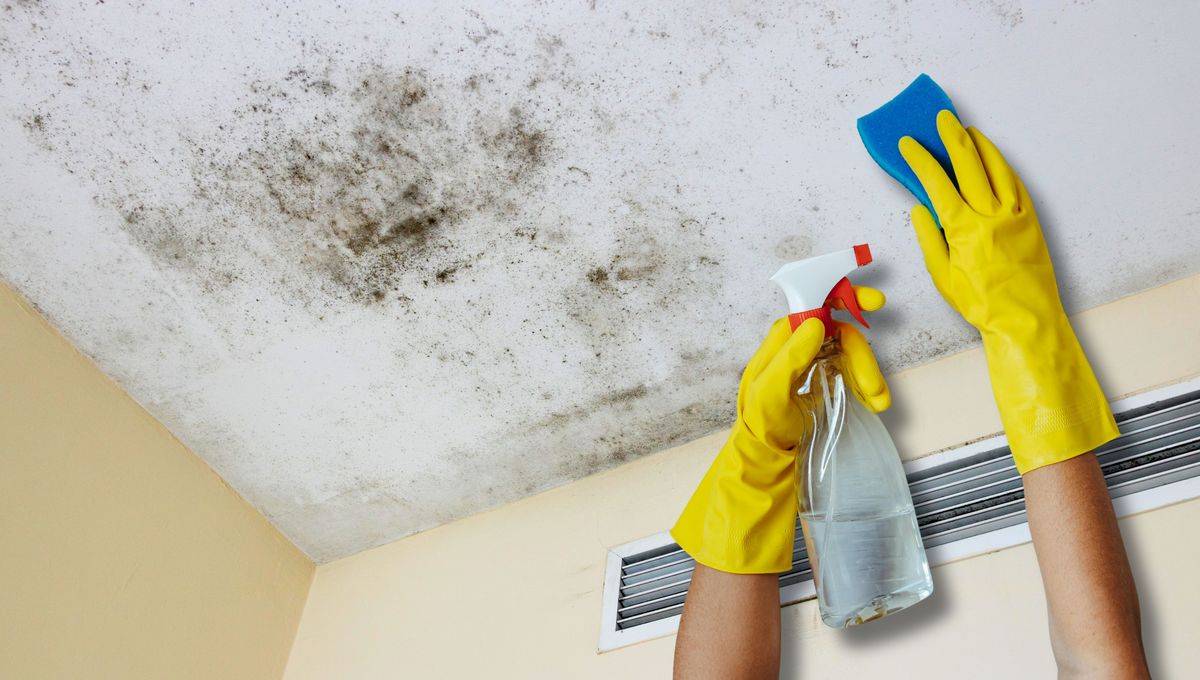 Un truco con vinagre poco conocido pero con grandes efectos.&nbsp;