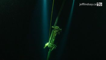 Arqueólogos no dan crédito al descubrimiento realizado en la frontera entre Estados Unidos y Canadá Arqueólogos no dan crédito al descubrimiento realizado en la frontera entre Estados Unidos y Canadá