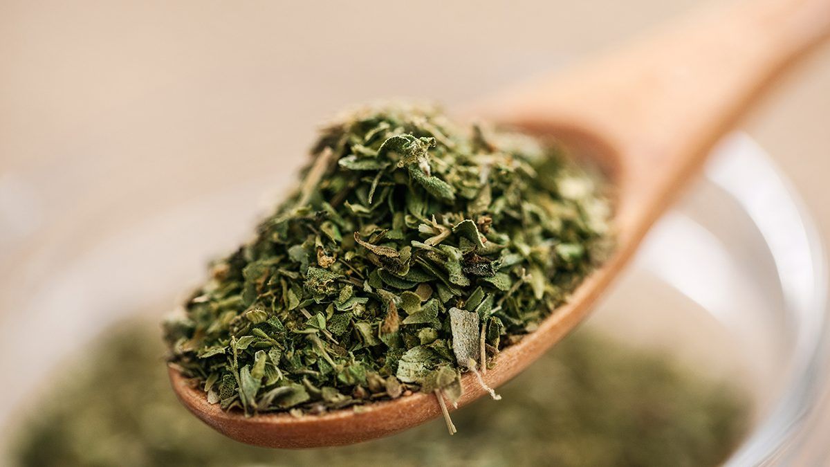 Orégano por la cara y por el cuerpo: por qué recomiendan hacerlo y para qué sirve Orégano por la cara y por el cuerpo: por qué recomiendan hacerlo y para qué sirve