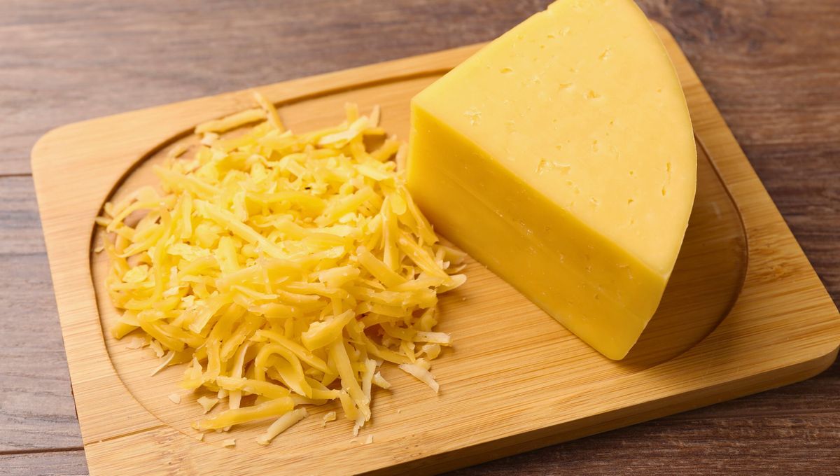 ¿Qué es realmente el queso? ¿Qué es realmente el queso?