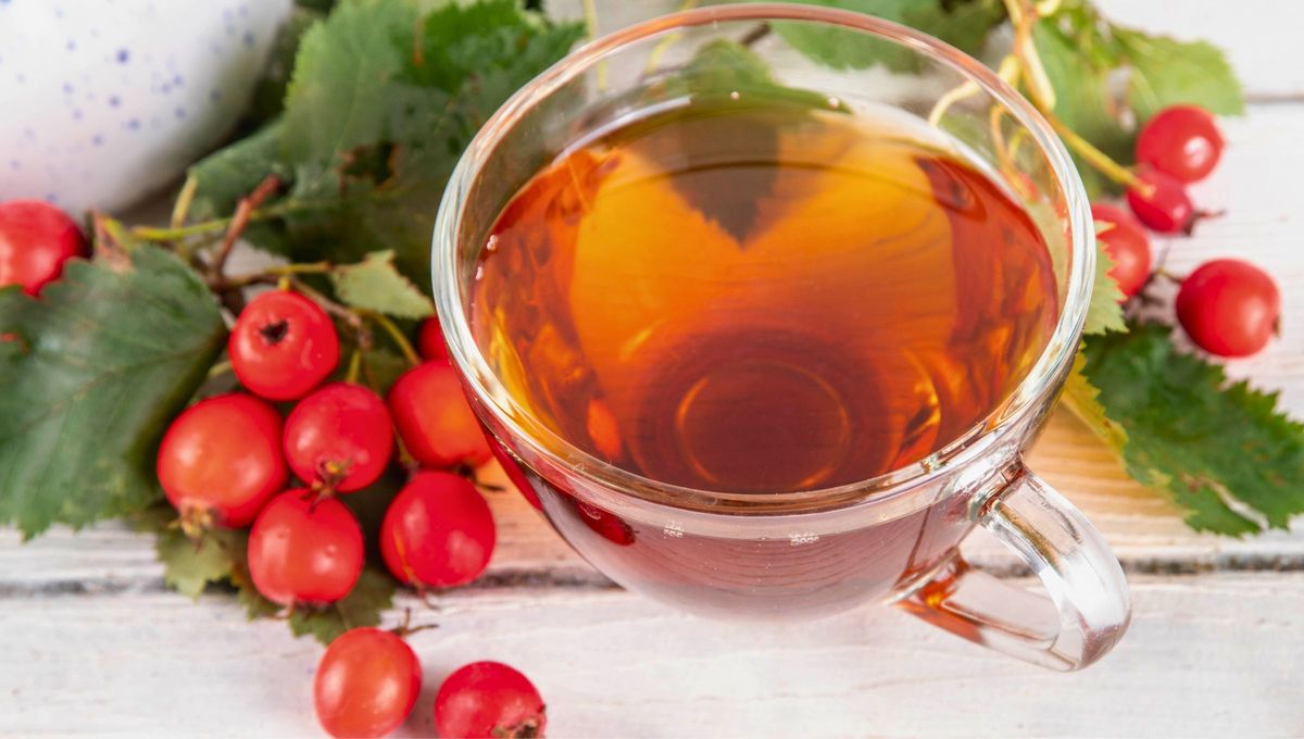 Esta planta, que crece fácilmente en diversas zonas, es conocida por sus propiedades beneficiosas, en particular por su efecto positivo en el corazón y el sistema circulatorio. Esta planta, que crece fácilmente en diversas zonas, es conocida por sus propiedades beneficiosas, en particular por su efecto positivo en el corazón y el sistema circulatorio.