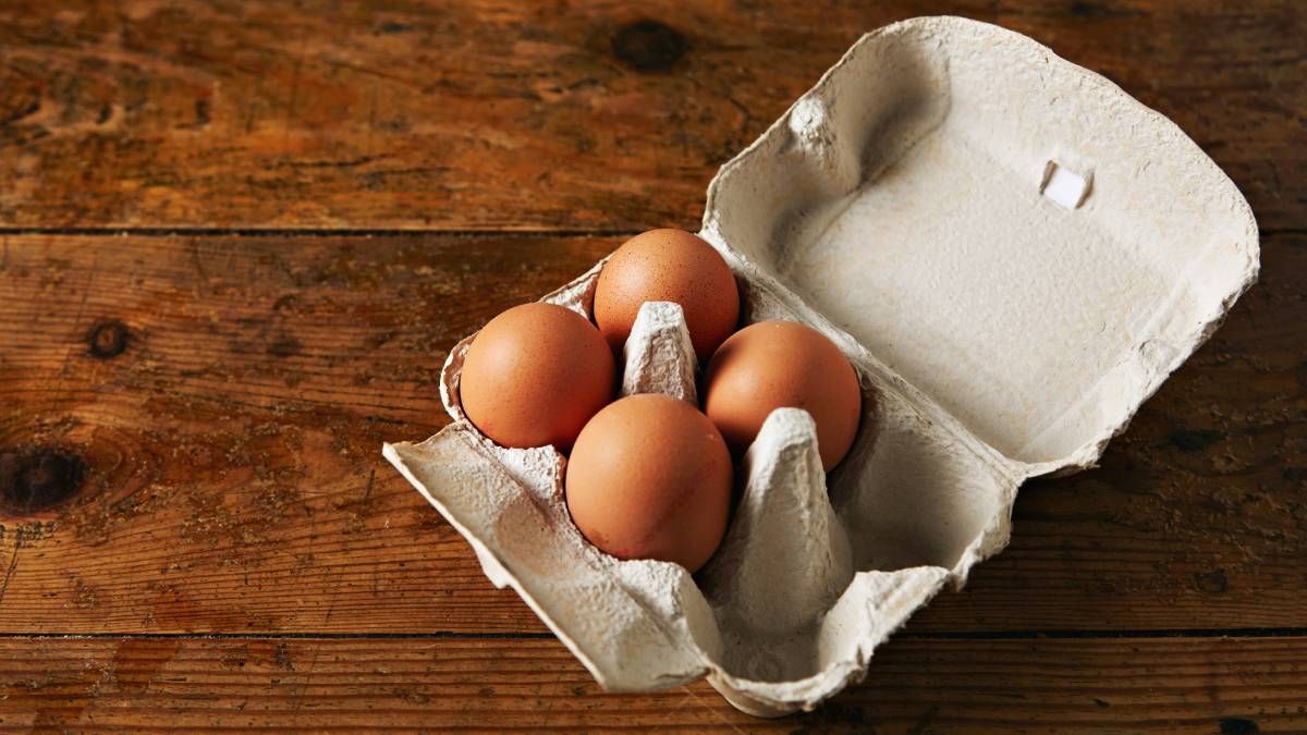 Recicla las cajas de cartón de huevos con esta espectacular idea