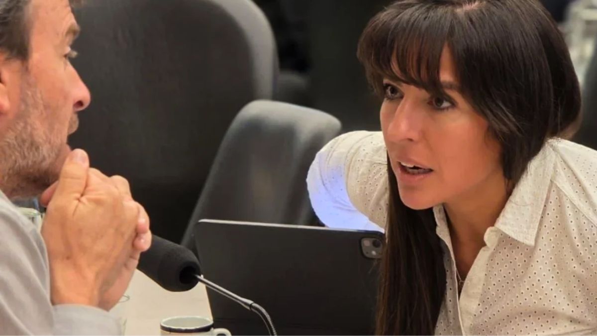 Pamela Verasay y Lisandro Nieri, los mendocinos que integran el bloque UCR en la Cámara de Diputados. Pamela Verasay y Lisandro Nieri, los mendocinos que integran el bloque UCR en la Cámara de Diputados.