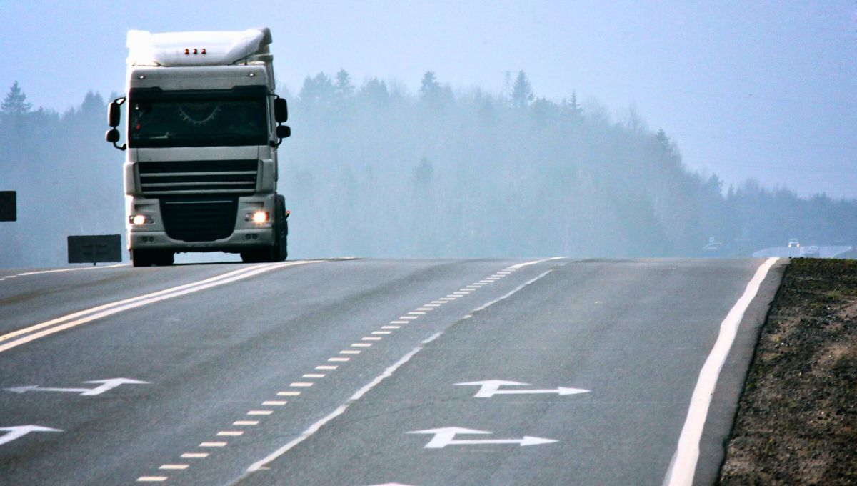 En calles y rutas, las señales de tránsito cumplen un rol fundamental para garantizar la seguridad vial y el orden en la circulación.
