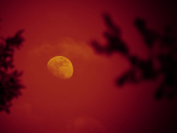 Guía para ver la Luna roja durante el eclipse de este martes en Mendoza