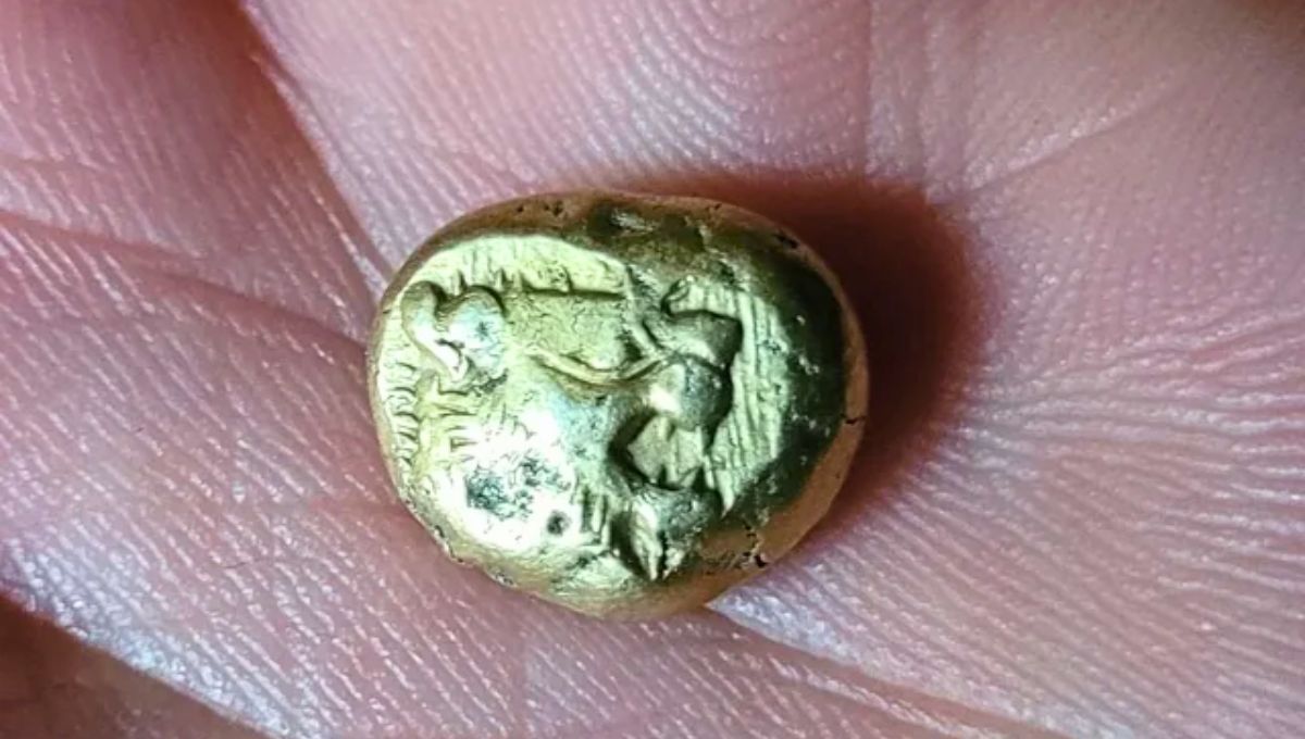 La primera moneda en la historia de la humanidad: ni griegos, ni egipcios ni romanos