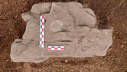 La moneda fue encontrada sobre una piedra.