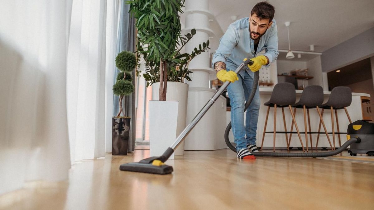 Para qué sirve colocar una hoja de romero dentro de la aspiradora, según expertos Para qué sirve colocar una hoja de romero dentro de la aspiradora, según expertos