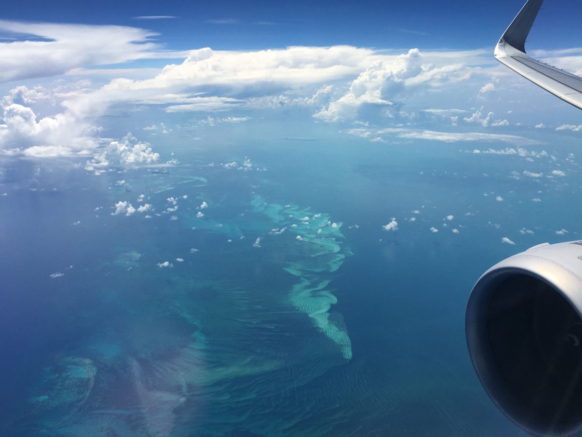 Las aerol&iacute;neas reaccionaron r&aacute;pidamente a la crisis en Venezuela.