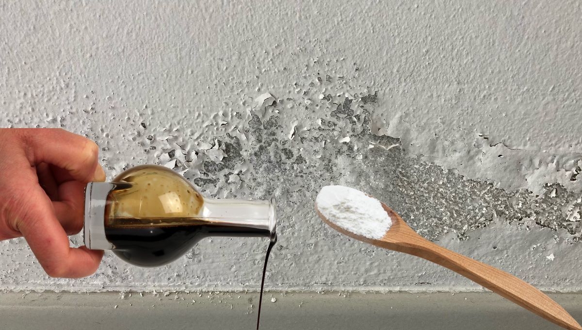 Fuente canva Fuente canva