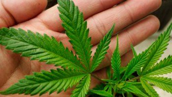 México debatirá sobre la legalización de la marihuana