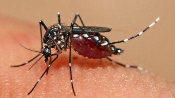 El virus Zika pone en alerta a los que planean viajar este verano a Brasil