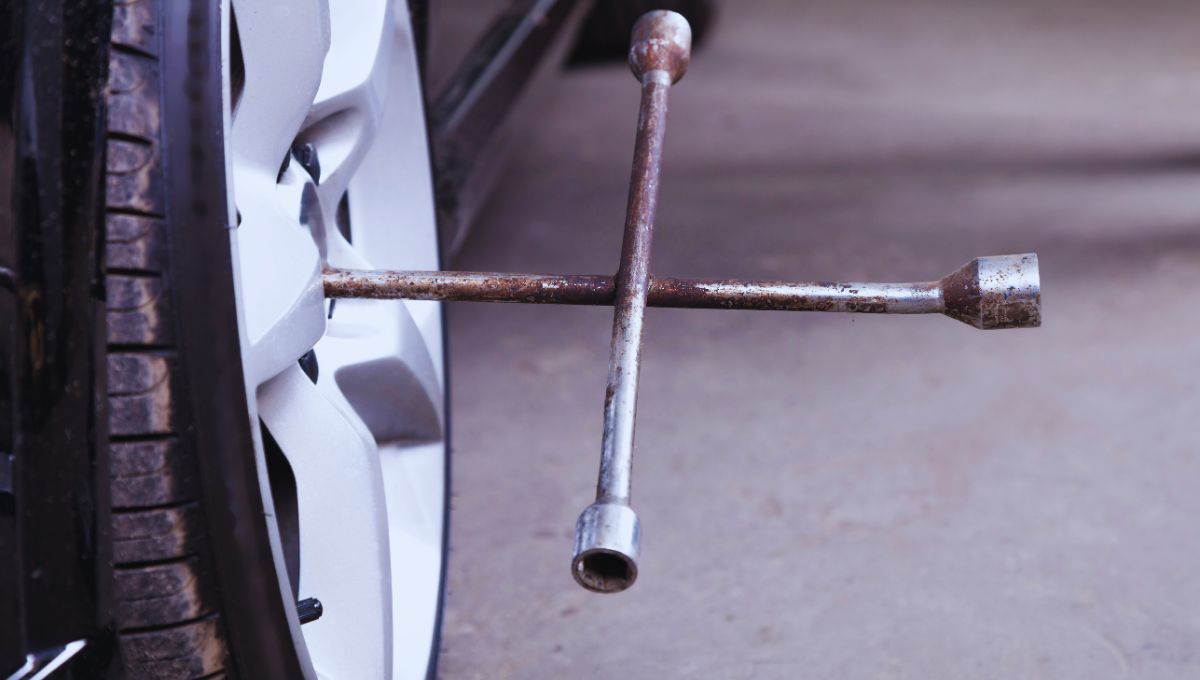 Fuente canva Fuente canva