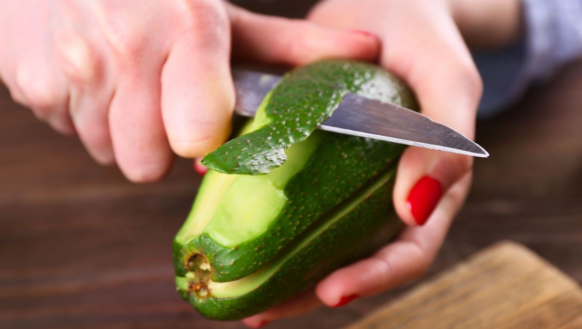 El uso de la c&aacute;scara de palta gan&oacute; una relevancia significativa.