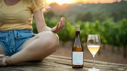 El vino con menos graduación alcohólica es una tendencia mundial. Durante el foro El Futuro del Vino se analizará la oportunidad en Argentina. El vino con menos graduación alcohólica es una tendencia mundial. Durante el foro El Futuro del Vino se analizará la oportunidad en Argentina.