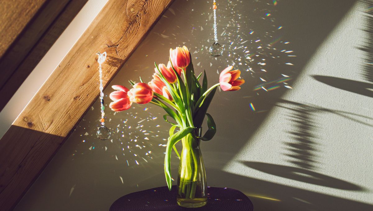 Atrapasol. Atrapasol.