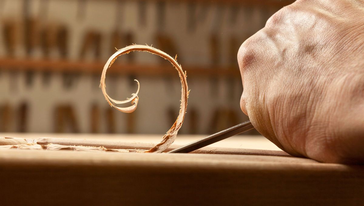  “La madera podrida no puede ser nunca esculpida” “La madera podrida no puede ser nunca esculpida”