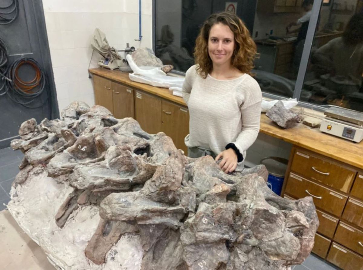 El impresionante descubrimiento de un dinosaurio en Chubut que cambia los libros de historia