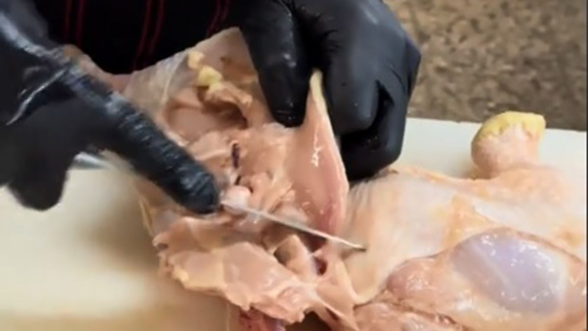 Para trozar el pollo de manera correcta es necesario conocer sus partes y tener un cuchillo bien afilado Para trozar el pollo de manera correcta es necesario conocer sus partes y tener un cuchillo bien afilado