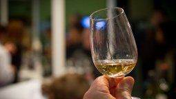 Sobre el precio del vino: Tenemos que pensar en el consumidor