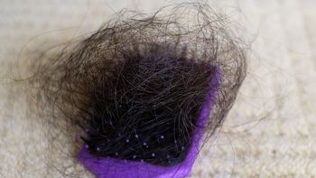 ¿Por qué el pelo se nos cae mucho más en otoño? ¿Por qué el pelo se nos cae mucho más en otoño?