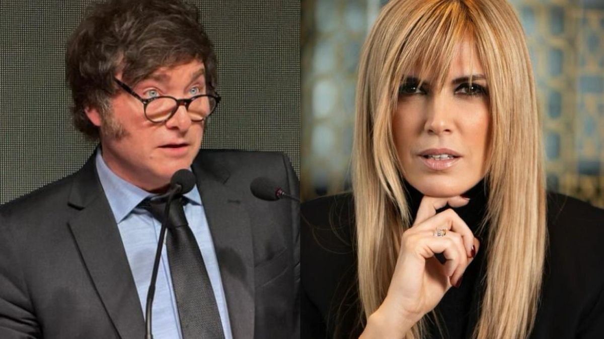 Milei apoyó a Mariana Fabbiani y apuntó contra Viviana Canosa y el Grupo Clarín