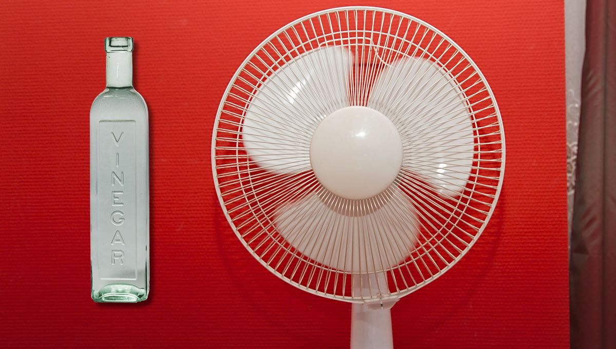 Paso a paso: cómo usar vinagre blanco para limpiar el ventilador