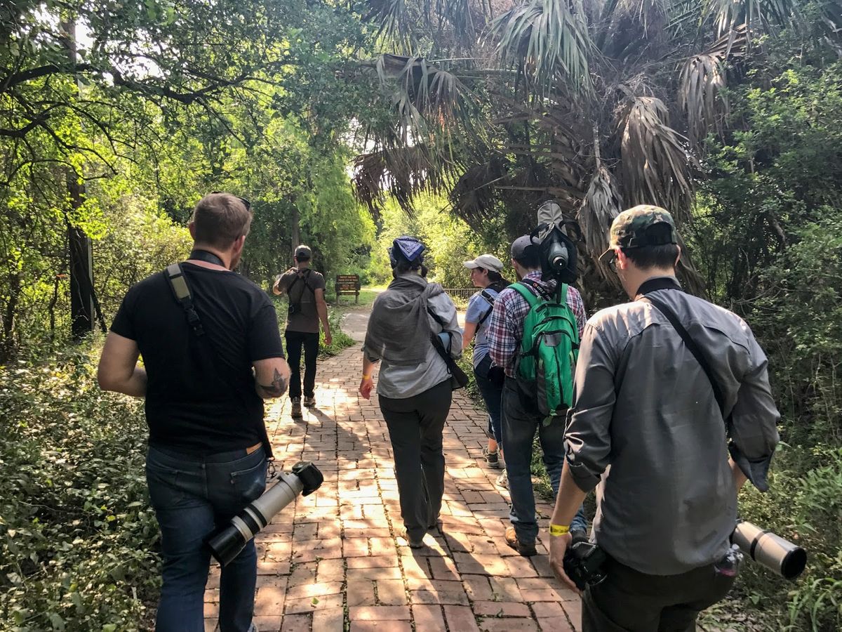 El pueblo es una meca para quienes disfrutan de observar aves. El pueblo es una meca para quienes disfrutan de observar aves.